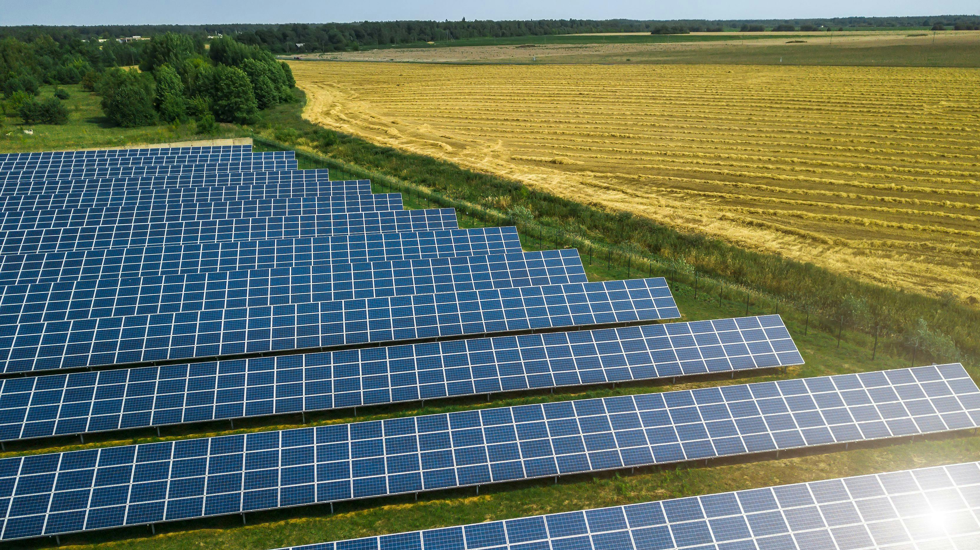 J&J Vision unites operations with a solar farm to cover electricity consumption