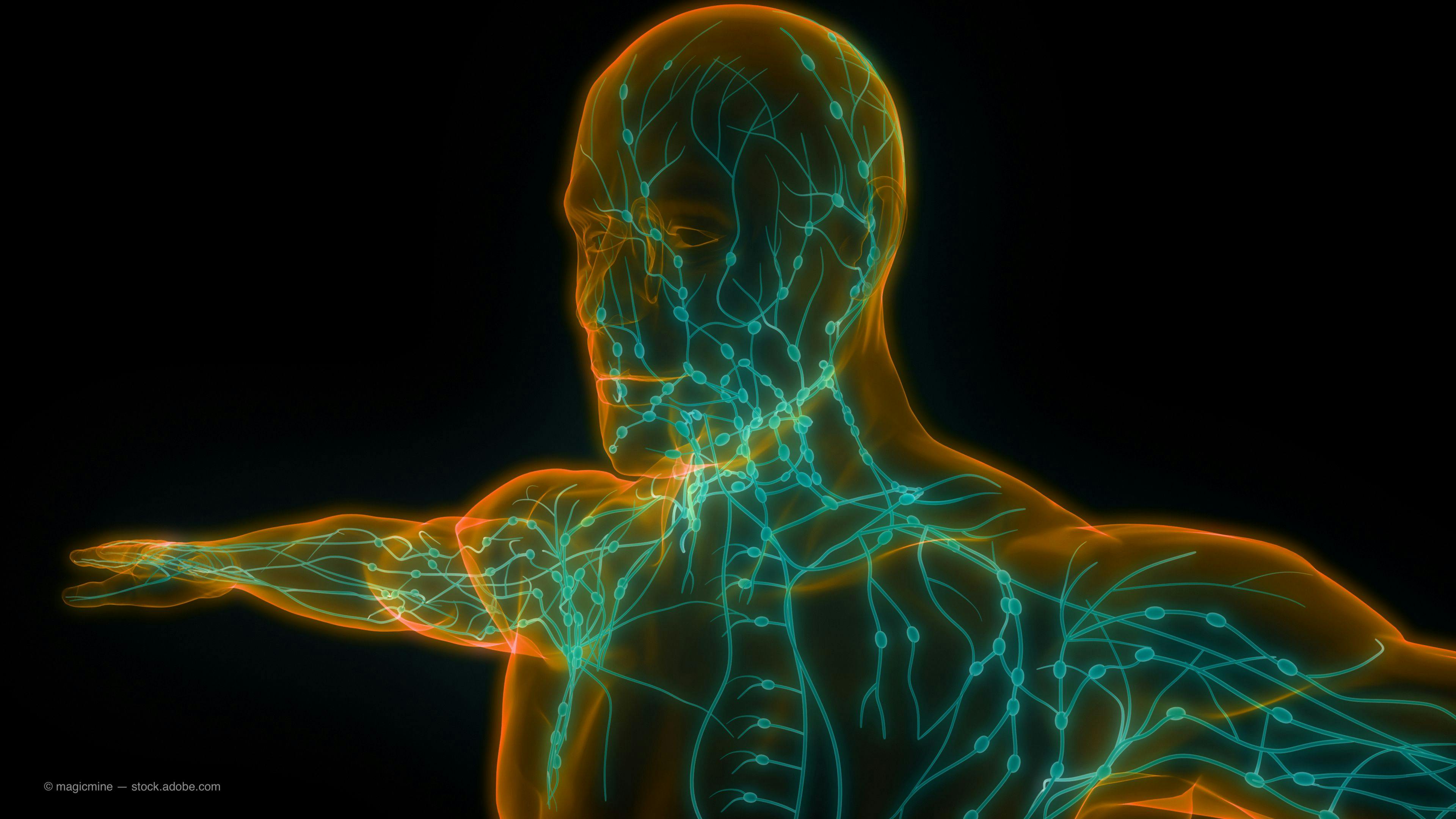 Examining the essential role of the lymphatic system, at your disposal