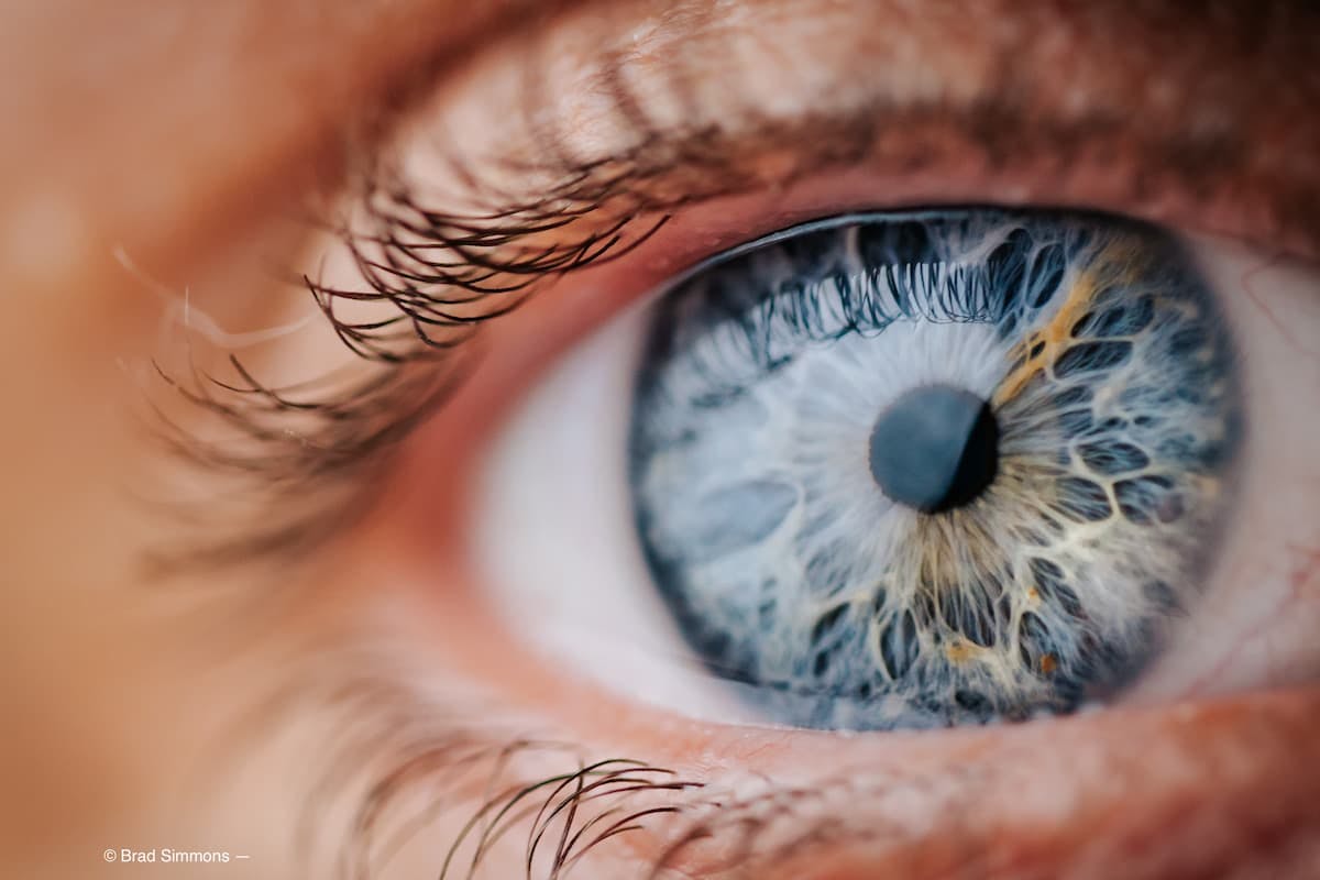 eye - blue iris - close up - © Brad Simmons