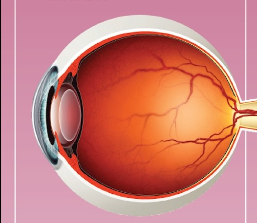 Quiz: Patient experiences sudden decrease in vision