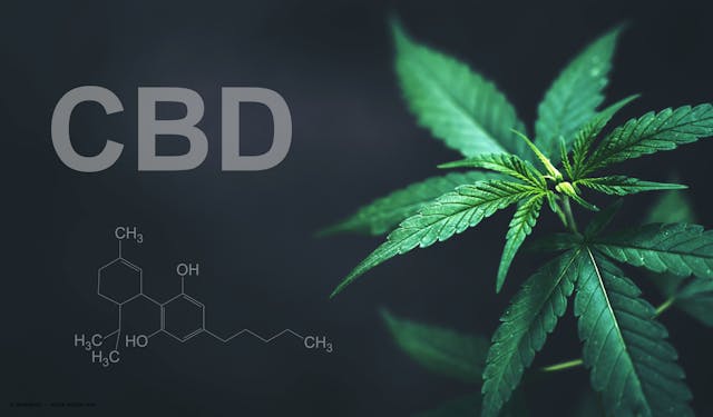 Cannabis and CBD oil:  a new “old” friend in optometry 