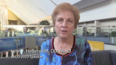 Dr. Lynn Hellerstein on the role of vision in learning