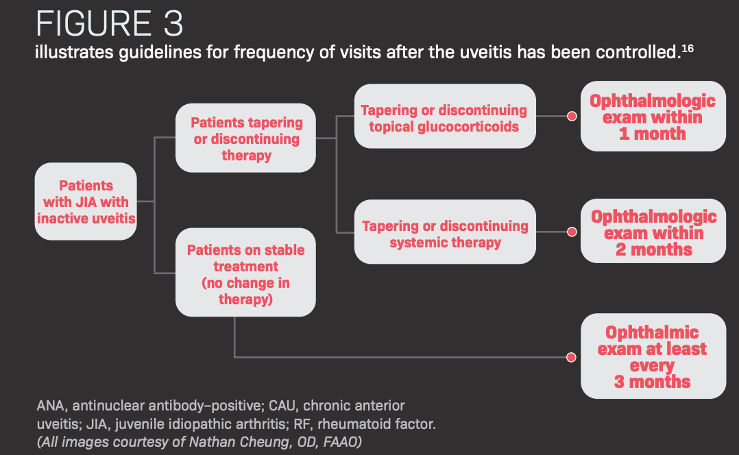 Figure 3 illustrates guidelines for frequency of visits after the uveitis has been controlled.