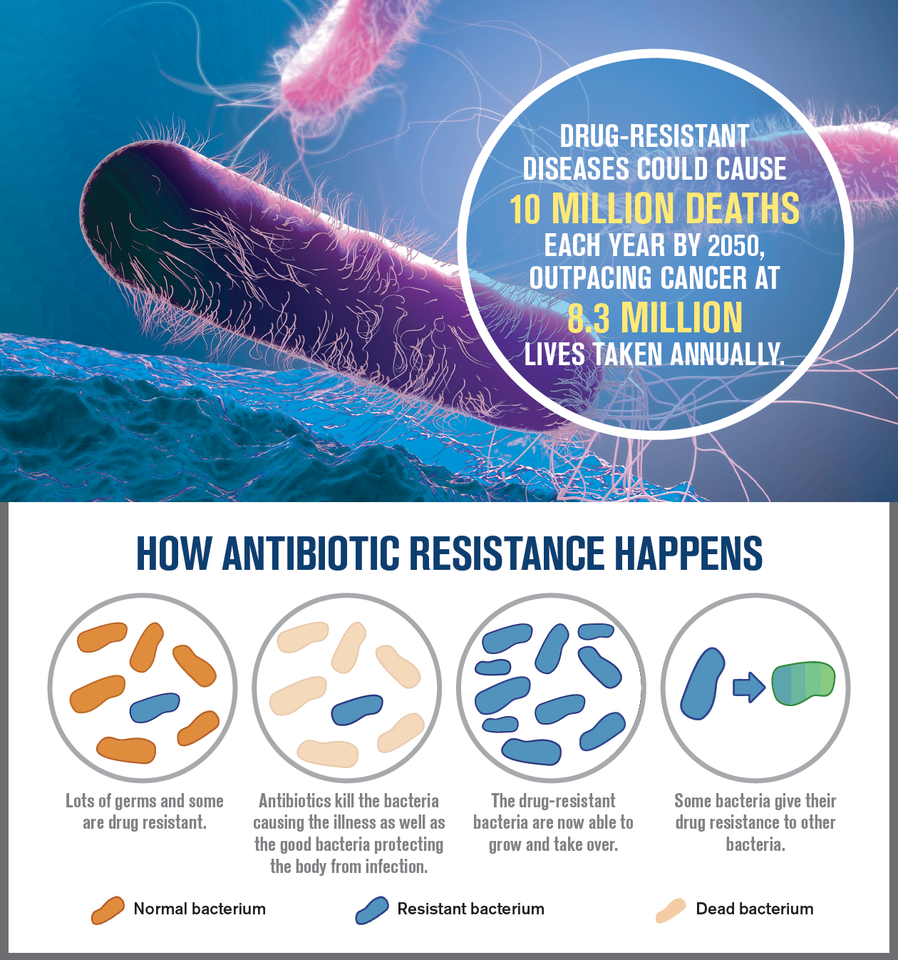How antibiotic resistance happens 